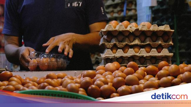 Mahalnya Harga Ayam dan Telur Diramal Sumbang Inflasi Juli