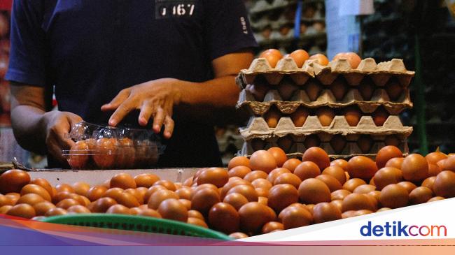 Harga Telur Ayam Mahal dan Tak Wajar tapi Pemerintah Ogah Intervensi