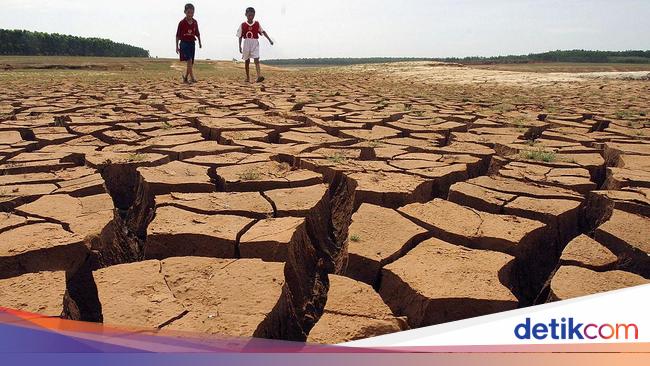 Dampak Ngeri El Nino, Ratusan Ribu Hektare Lahan di RI Bisa Kekeringan