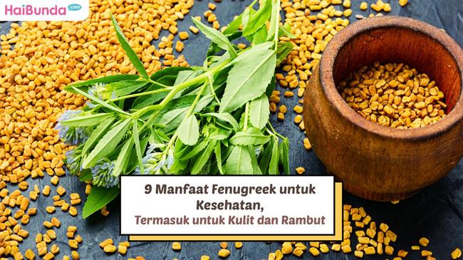 9 Manfaat Fenugreek Untuk Kesehatan Termasuk Untuk Kulit Dan Rambut