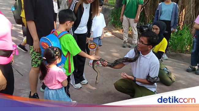 Aksi Menggemaskan Jan Ethes Pegang Ular Hingga Naik Kuda Poni