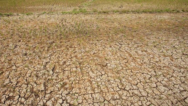 Petani di Cikeusik Pandeglang 6 Bulan Tak Tanam Padi Akibat Kekeringan