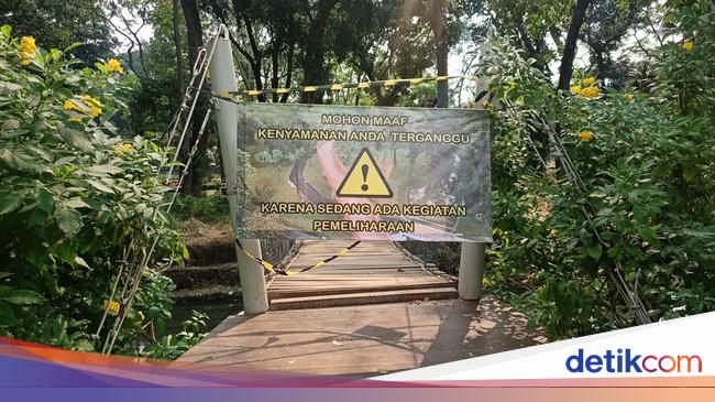 Jembatan Kayu Tebet Eco Park Ditutup untuk Perbaikan, Begini Kondisinya