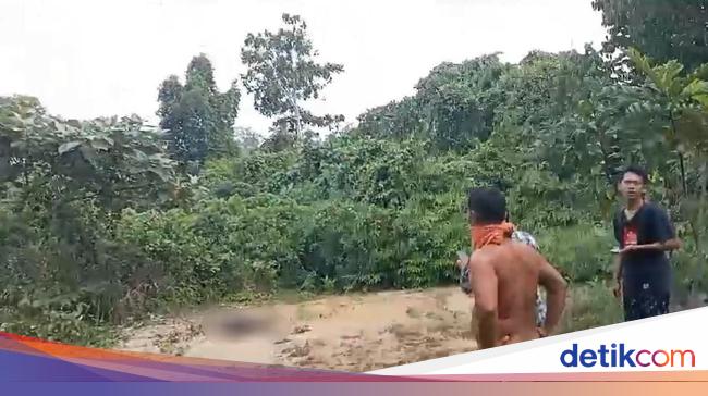 Warga Merangin Jambi Dihebohkan Penemuan Mayat Wanita Tanpa Busana