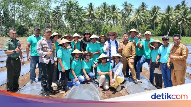 Kemendes Harap Hasil Panen Program TEKAD Dipasarkan oleh BUMDesa