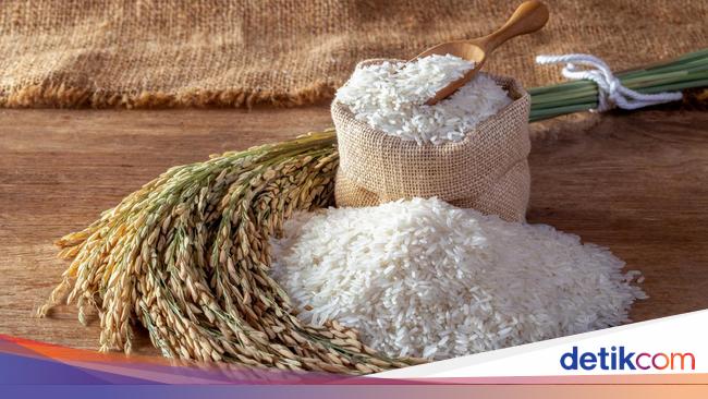 Oknum TNI Diduga Jual Beras Bantuan Korban Erupsi Lewotobi Diperiksa Pom AD