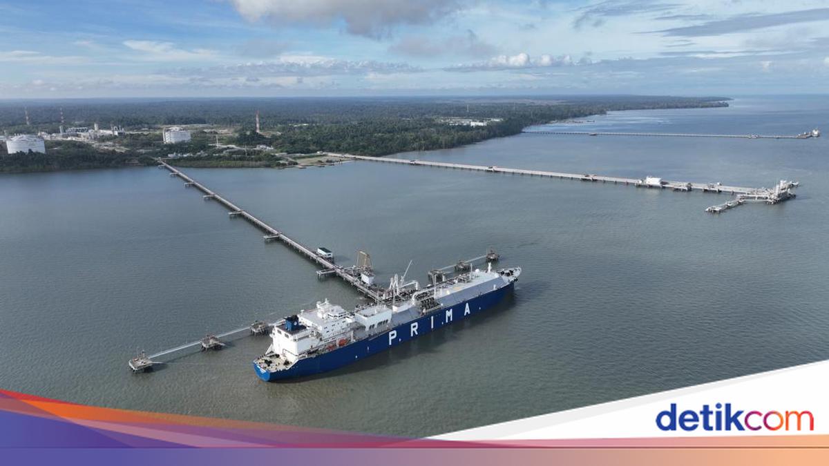 Papua Barat Colek Pusat soal Hak Partisipasi 10% &amp; Jatah Gas