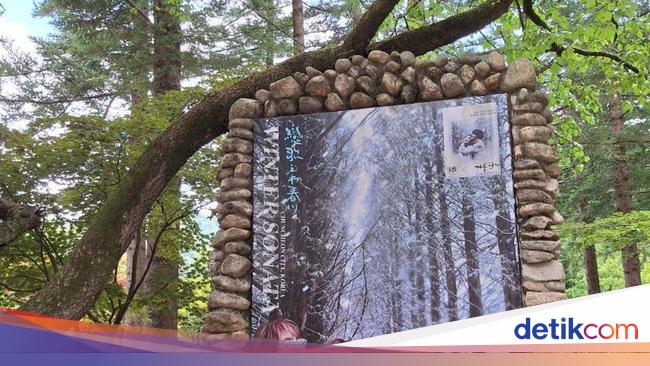 Ternyata Indah Sekali Nami Island, Lokasi Syuting Winter Sonata