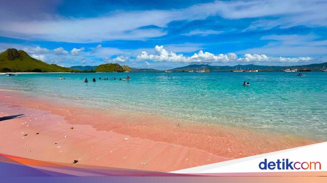 Investor China Tak Percaya Ada Pantai Berwarna Pink di Labuan Bajo
