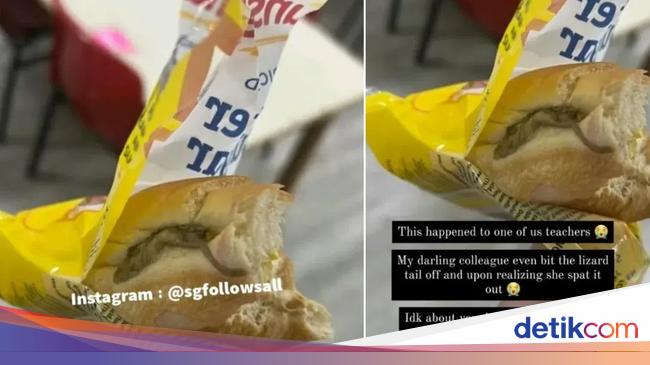 Makan Roti Kemasan, Wanita Ini Temukan Bangkai Cicak di Dalam Rotinya