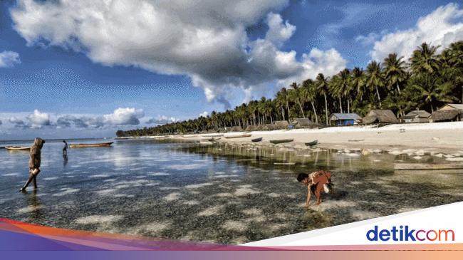 Tradisi Unik Tnyafar di Pulau Selaru
