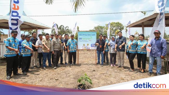 Warga Salor Indah di Merauke Dapat Bantuan Bibit Kelengkeng dari BRI