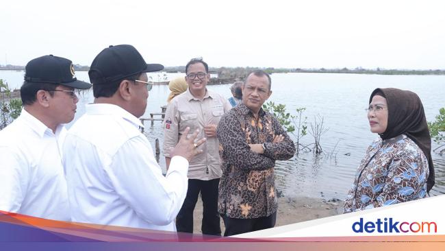 Dampingi Komisi IV DPR, Bupati Serang Sinergikan Program Perikanan