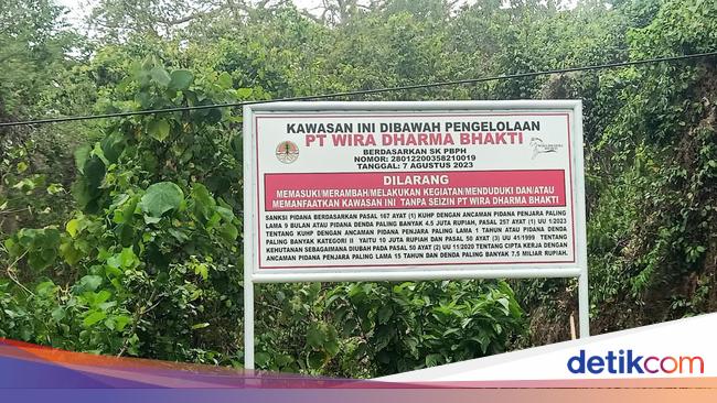 Siap-siap, 250 Hektar Hutan Bali Barat Mau Dibangun Wisata Mewah