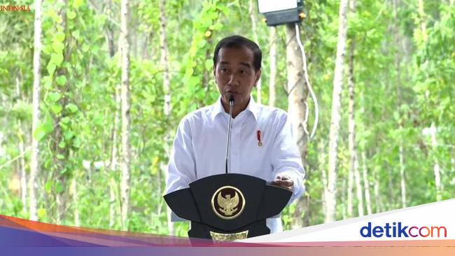 Asa Jokowi Bikin IKN Jadi Ibu Kota Paling Hijau Sedunia