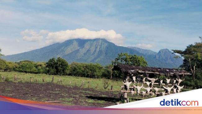 Wisata Taman Nasional Baluran Tutup Sebulan