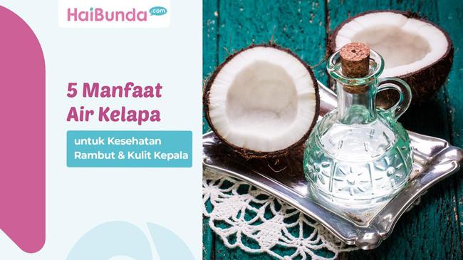 5 Manfaat Air Kelapa Untuk Kesehatan Rambut And Kulit Kepala