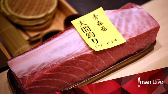 Ini 10 Ikan yang Punya Kandungan Merkuri Tinggi, Penting Diketahui Sebelum Beli