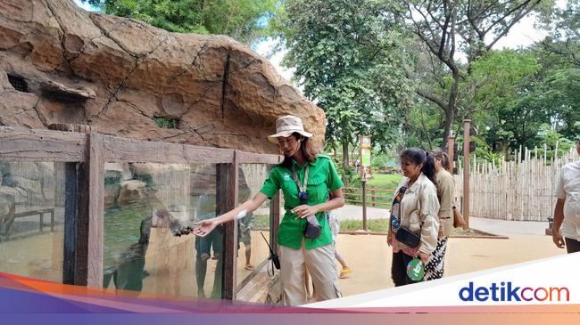 Klaudia Makin Tenar, eh Ada yang Cemburu