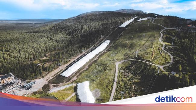 Salju bak Emas Putih, Resor Ski Berburu dan Menimbun Kini