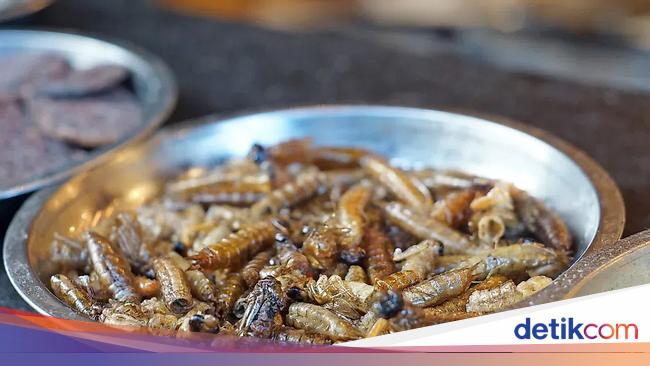 Ini 5 Serangga yang Paling Banyak Dikonsumsi di Dunia