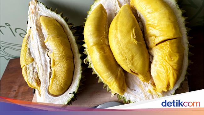 Ini 4 Alasan Durian Musang King Dijual Mahal, Sampai Rp 500 Ribu/Kg!