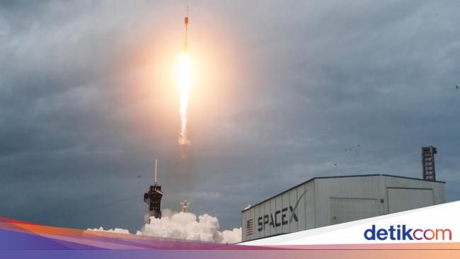 Satelit RI Kembali Dikirim ke Antariksa oleh Thales dan Elon Musk