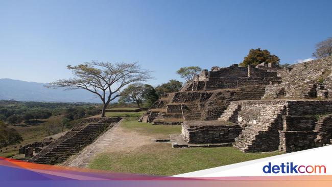 Menggemparkan! Reruntuhan Maya Tertangkap dalam Jaringan Kartel Narkoba