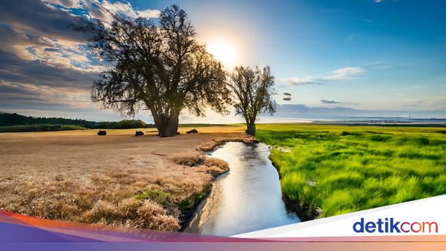 Ilmuwan Menyelidiki Potensi Virus dalam Menanggulangi Perubahan Iklim