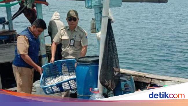 Langgar Izin Tangkap Ikan di Kepulauan Seribu, 6 Kapal Ditindak