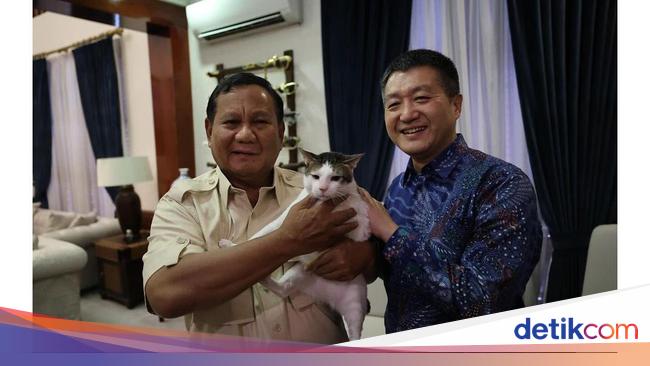 Bobby The Cat Menjadi Saksi Perundingan Antara Prabowo dan Dubes China di Rumah Dinasnya