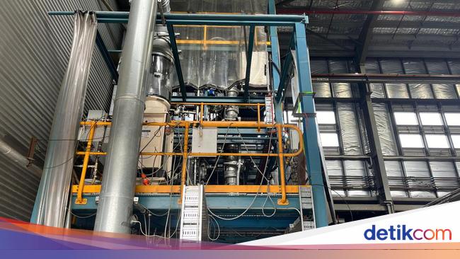 Ini Negara Tetangga Saingan RI dalam Bisnis Tangkap Karbon