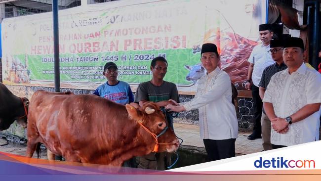 Polres Soetta Salurkan 24 Hewan Kurban di Idul Adha