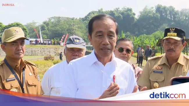 Jokowi Perintahkan Kemendag Buat Aturan Perdagangan Kratom