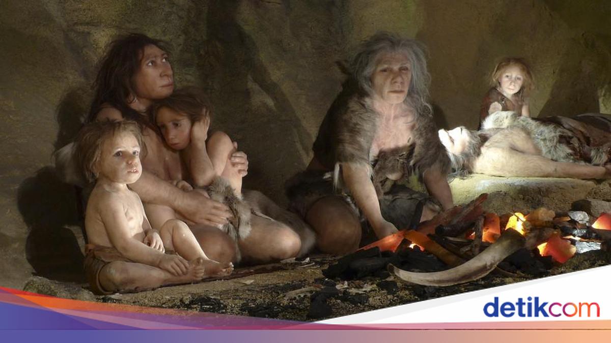 Fakta Mengejutkan Bayi Purba Neanderthal Tumbuh Cepat