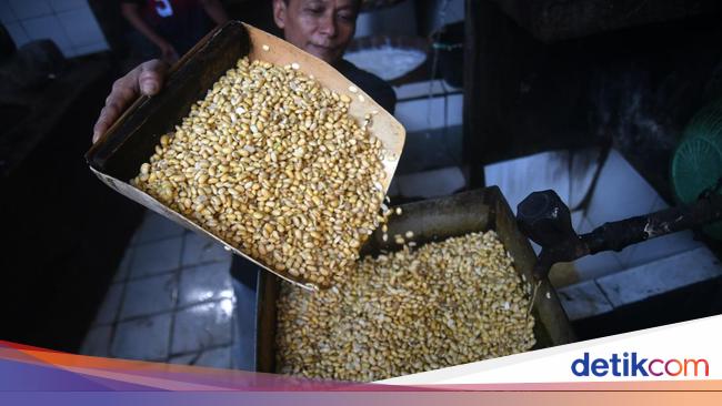 Dolar AS Ngamuk, Harga Kedelai Tembus Rp 1,2 Juta/Kwintal