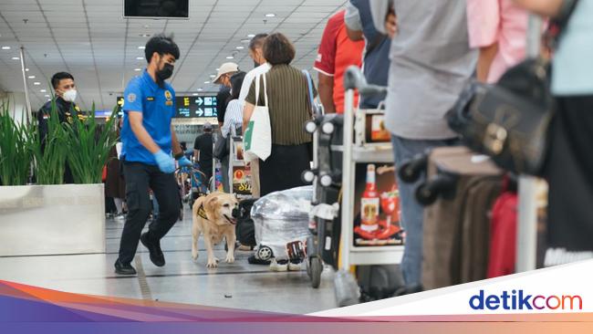 Hari Anti Narkotika, Ini Langkah Preventif dan Kolaboratif Bea Cukai