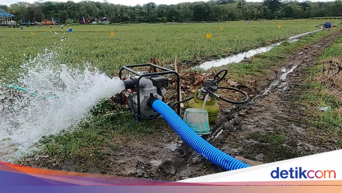 Kementan Siapkan 56.000 Pompa Air Antisipasi Kemarau Ekstrem 2026