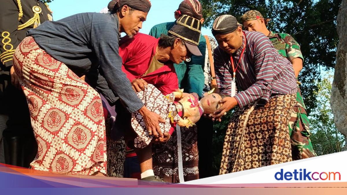 BKSDA Sebut Saparan Bekakak Punya Nilai Konservasi, Ini Alasannya