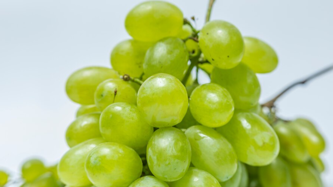5 Manfaat Anggur Shine Muscat yang Viral, Bisa Turunkan Berat Badan ...