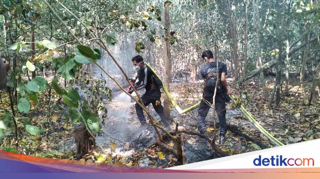 Pulau Deli di Pandeglang Terbakar Selama Satu Pekan