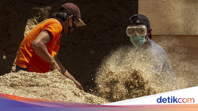 Emisi Masih Tinggi, Transisi Energi Jadi Solusi