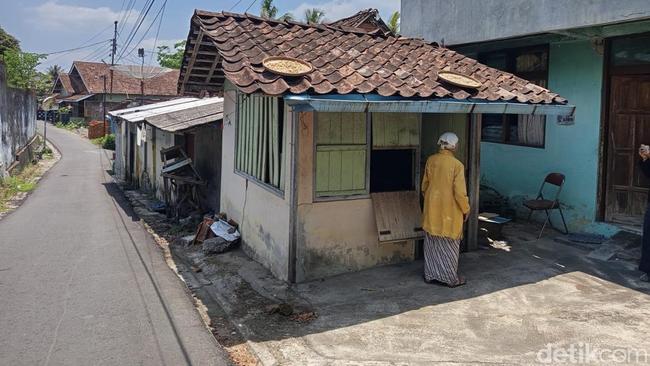 Wanita Magelang Hidup Bersama 42 Kucing, 17 Bangkai Dibiarkan di Gubuk