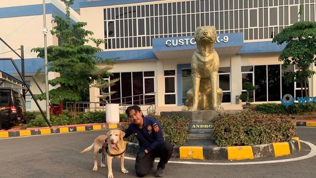 Suka Anabul, Pria Ini Pilih Jadi Pawang Anjing Pelacak Bea Cukai