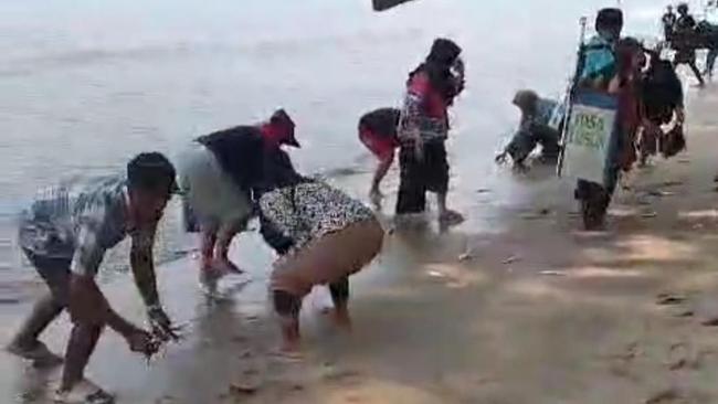 BPBD: Tak Ada Potensi Bencana Terkait Ikan Naik ke Daratan di Pantai Carita