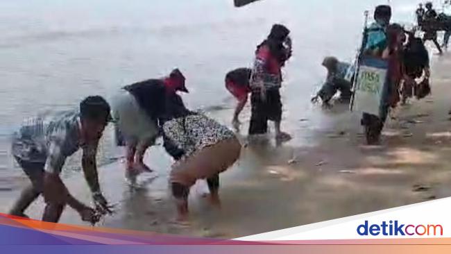 Tak Ada Potensi Bencana Terkait Ikan Naik ke Daratan di Pantai Carita