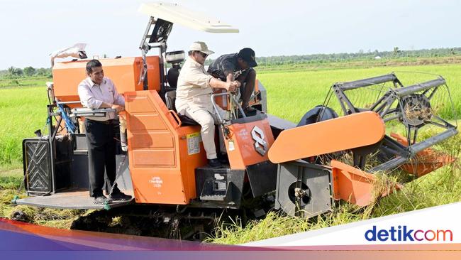 Alasan Ketahanan Pangan di Balik Kunker Perdana Prabowo ke Merauke