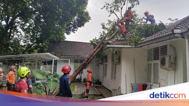 Hujan dan Angin Kencang, Pohon Tumbang Timpa Rumah Dinas Kapolresta Bogor