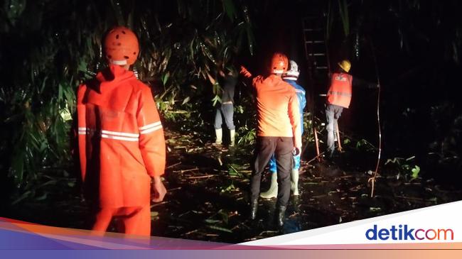 Pohon dan Tiang Listrik Roboh di Bogor, Akses Ciseeng-Rumpin Tertutup