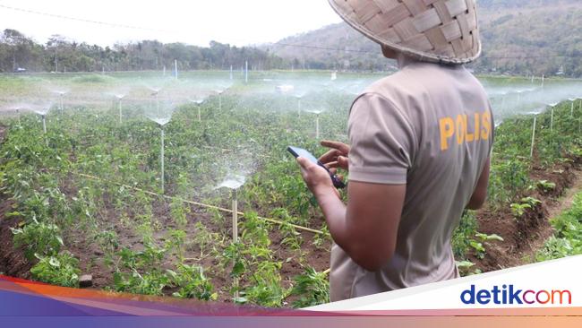 Hemat Biaya Produksi dan Tenaga